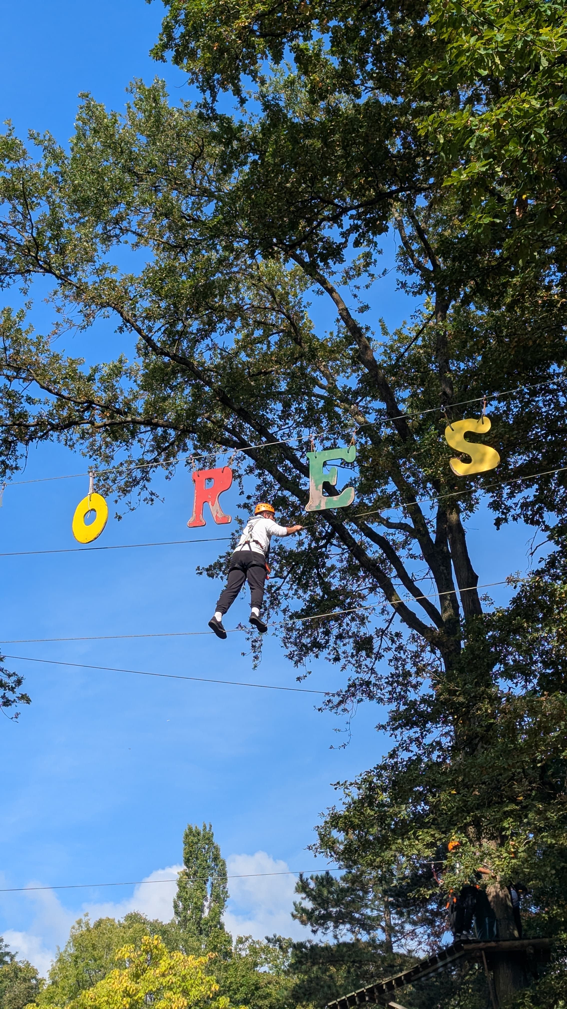 Schüler an der Seilbahn zwischen den Bäumen